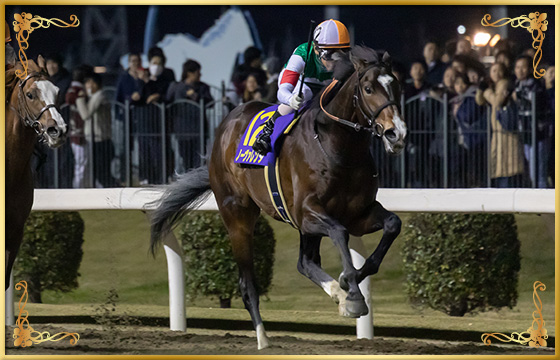 2018年優勝馬　ノーヴァレンダ号