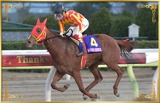 2018年優勝馬　アークヴィグラス号