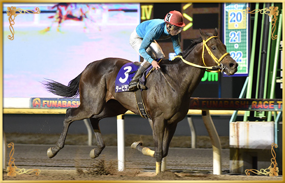 2019年優勝馬　タービランス号