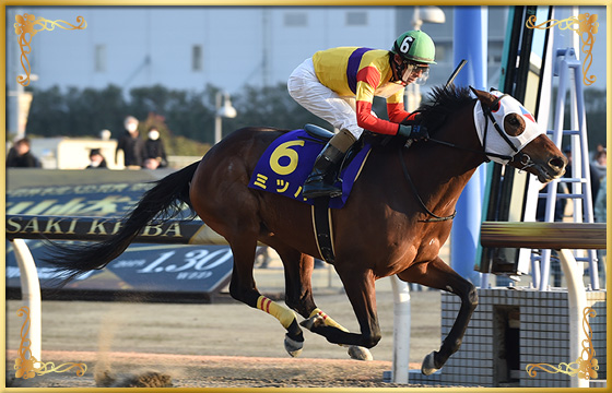 2019年優勝馬　ミツバ号