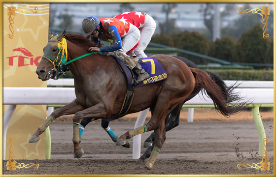 2019年優勝馬　サウンドトゥルー号