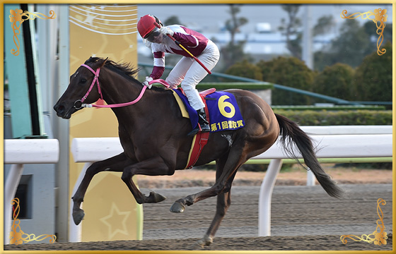 2019年優勝馬　ヒカリオーソ号