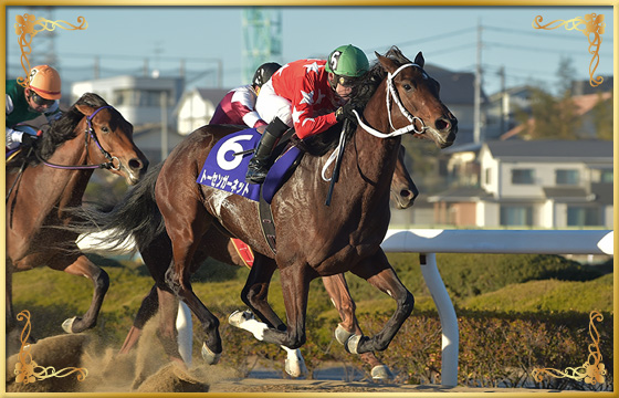 2019年優勝馬　トーセンガーネット号