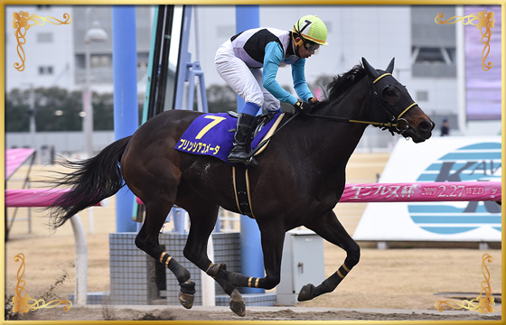 2019年優勝馬　プリンシアコメータ号