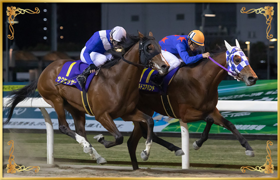 2019年優勝馬　ホールドユアハンド号