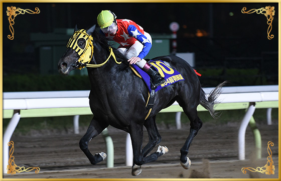 2019年優勝馬　ミューチャリー号