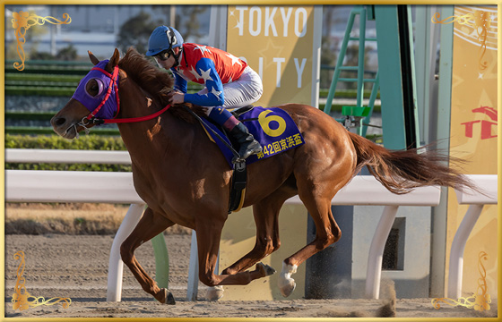 2019年優勝馬　ステッペンウルフ号