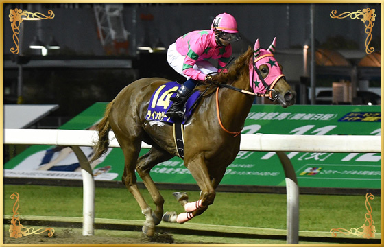 2019年優勝馬　ラインカリーナ号