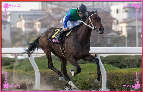 2019年優勝馬　トーセンガーネット号