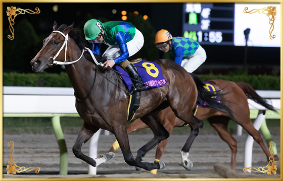 2019年優勝馬　トーセンガーネット号