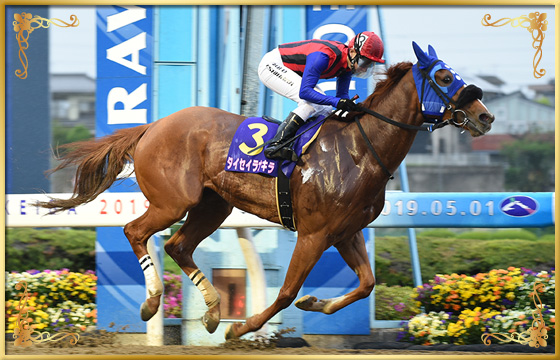 2019年優勝馬　タイセイラナキラ号