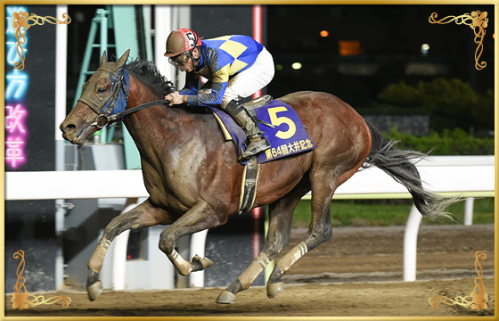 2019年優勝馬　モジアナフレイバー号