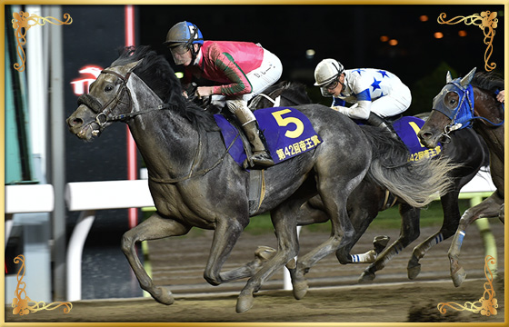 2019年優勝馬　オメガパフューム号