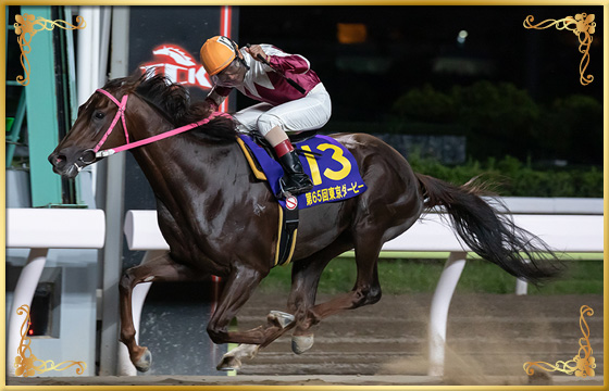 2019年優勝馬　ヒカリオーソ号