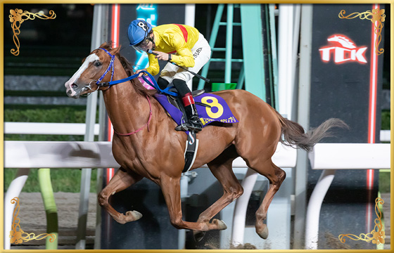 2019年優勝馬 ワークアンドラブ号