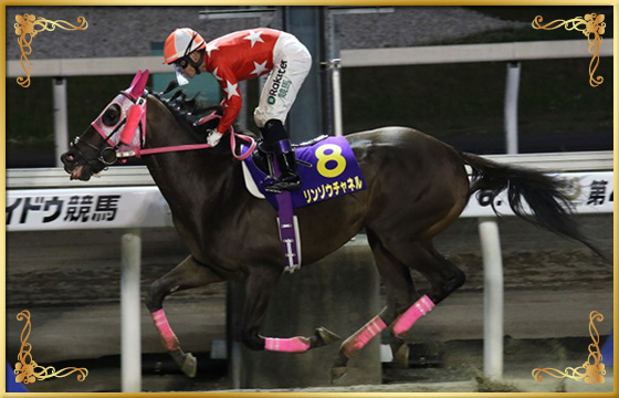 2019年優勝馬 リンゾウチャネル号
