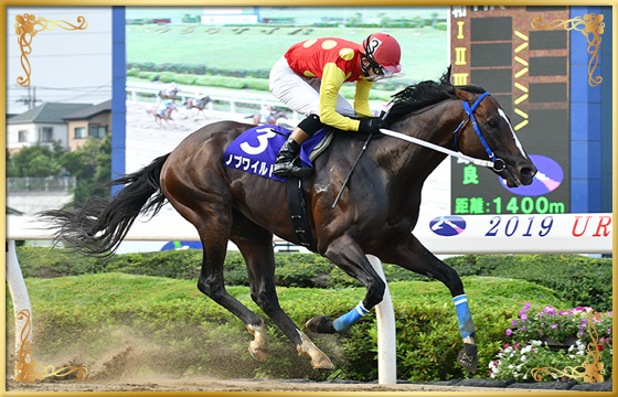 2019年優勝馬　ノブワイルド号