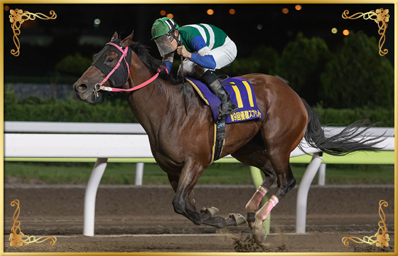 2019年優勝馬　ナガタブラック号