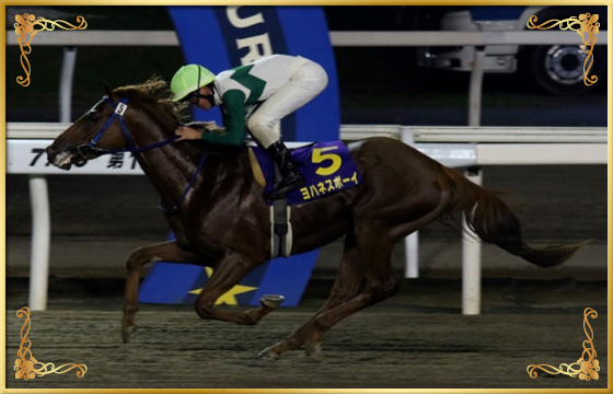 2019年優勝馬 ヨハネスボーイ号