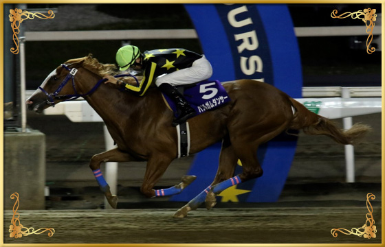 2019年優勝馬　バブルガムダンサー号