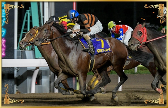 2019年優勝馬　キタサンミカヅキ号(外)