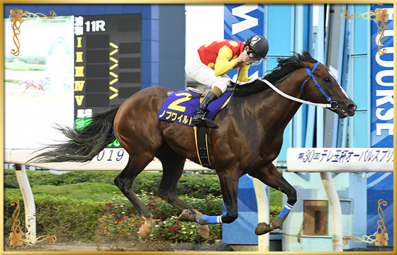 2019年優勝馬 ノブワイルド号