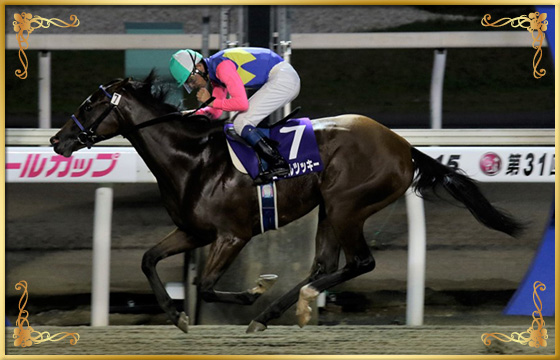 2019年優勝馬 コーラルツッキー号