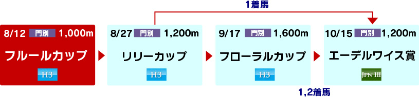 体系図　～ホッカイドウ競馬2歳牝馬～