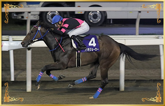 2019年優勝馬　プリモジョーカー号