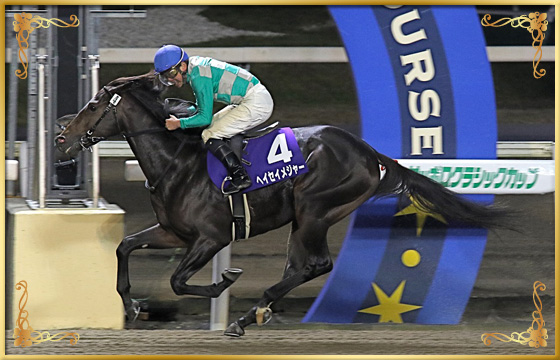 2019年優勝馬 ヘイセイメジャー号