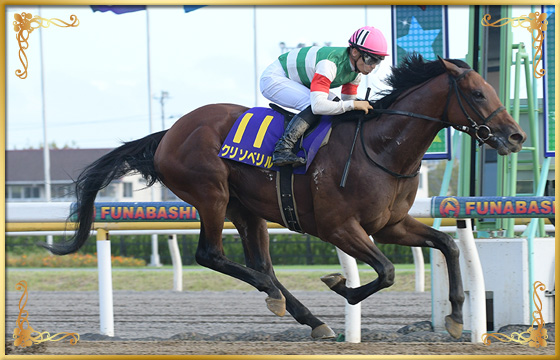 2019年優勝馬　クリソベリル号