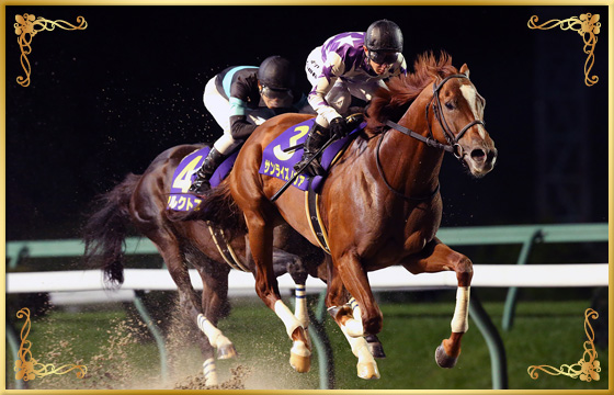 2019年優勝馬 サンライズノヴァ号