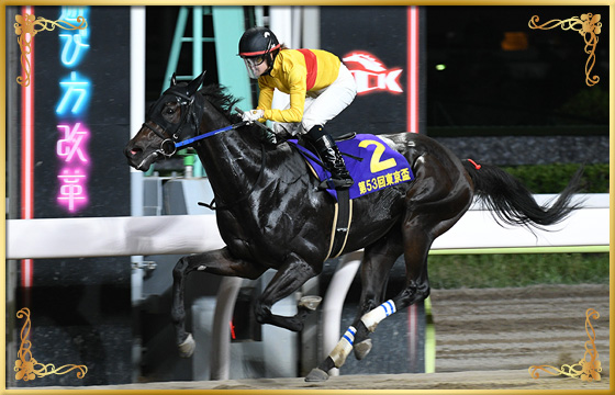 2019年優勝馬　コパノキッキング号