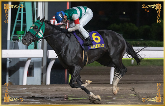 2019年優勝馬　ストライクイーグル号