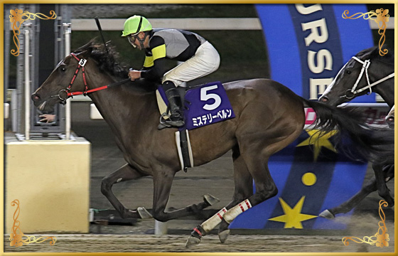 2019年優勝馬 ミステリーベルン号
