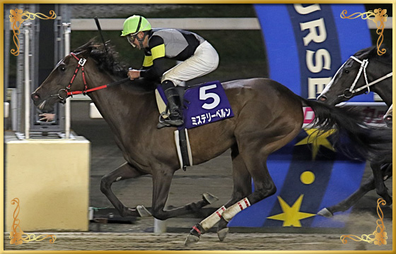 2019年優勝馬　ミステリーベルン号