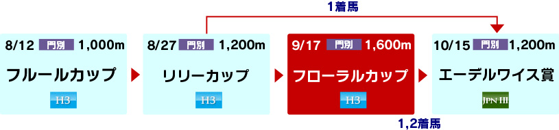 体系図　～ホッカイドウ競馬2歳牝馬～