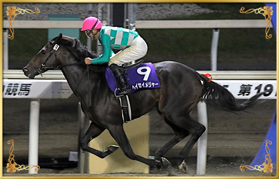 2019年優勝馬 ヘイセイメジャー号