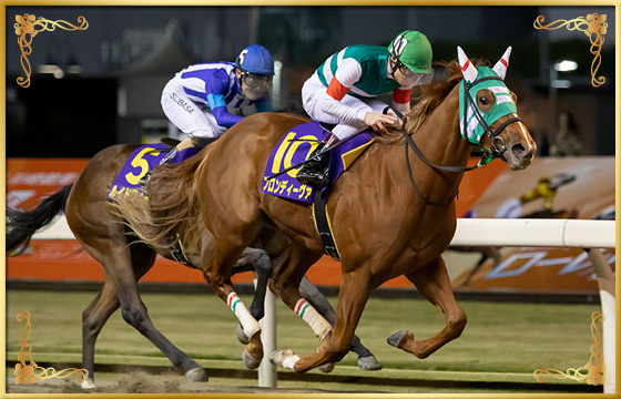 2019年優勝馬　ブロンディーヴァ号