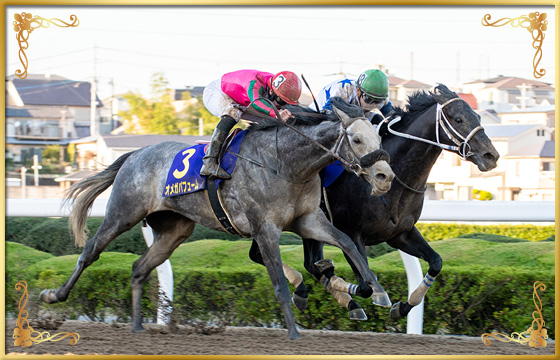 2019年優勝馬　チュウワウィザード号(内)