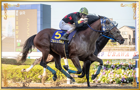 2019年優勝馬 ブルドッグボス号(外)