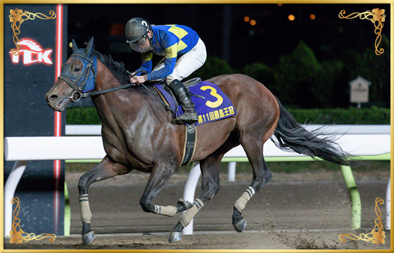 2019年優勝馬　モジアナフレイバー号