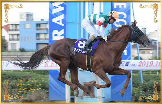 2019年優勝馬　ディアデルレイ号