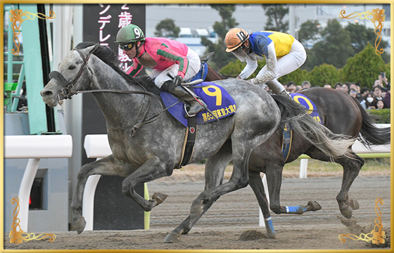 2019年優勝馬　オメガパフューム号