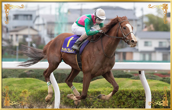 2019年優勝馬　ケイティブレイブ号