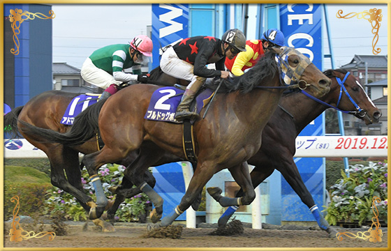 2019年優勝馬 ブルドッグボス号(外)