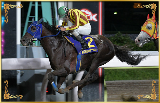 2019年優勝馬　ノンコノユメ号