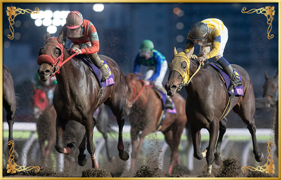 2019年優勝馬　ローレライ号(左)