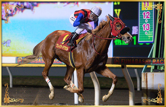 2019年優勝馬 クレイジーアクセル号