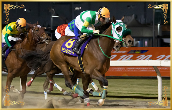 2019年優勝馬　グランモナハート号